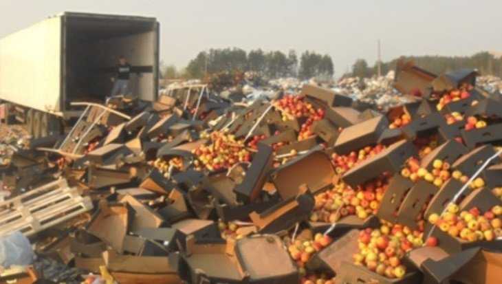 В Брянской области раздавили 123 тонны ягод, фруктов и овощей