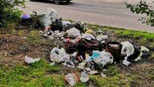 Брянская прокуратура отреагировала на публикацию о свалке мусора возле школы