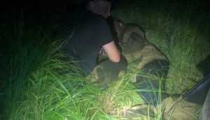 В Дятьковском районе ночью нашли обессилевшего в лесу грибника
