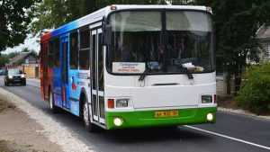 Жителей Брянска на Свенскую ярмарку бесплатно довезут автобусы