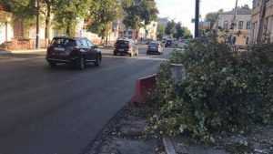 Несколько деревьев спилили в Брянске на улице Калинина