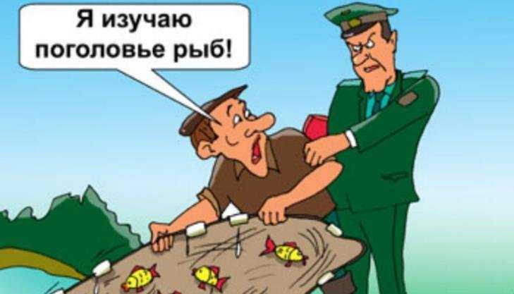 Жителя Унечи оштрафовали на 20 тысяч рублей за незаконную рыбалку