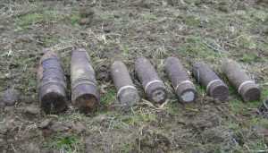 Под Карачевом в лесу обнаружили мину и 22 снаряда времён войны