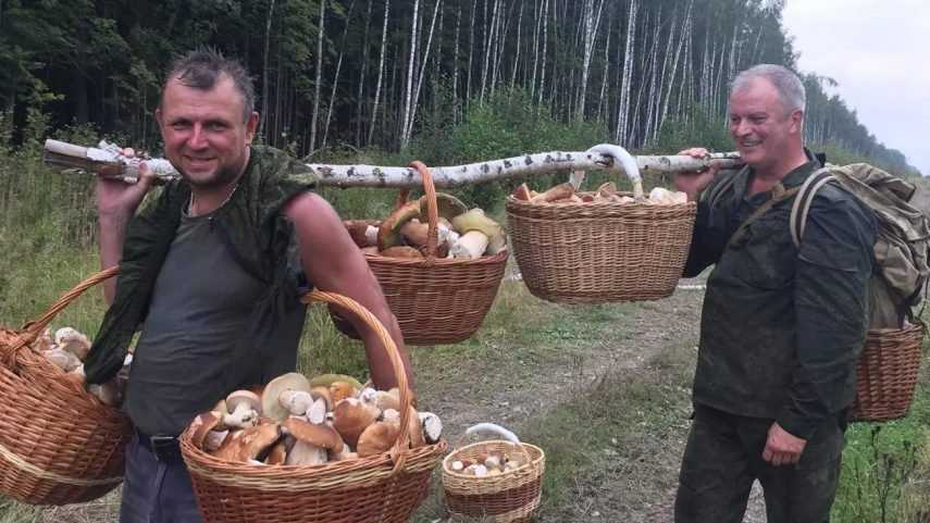 Поляки: россияне пойдут за грибами в лес и захватят нас