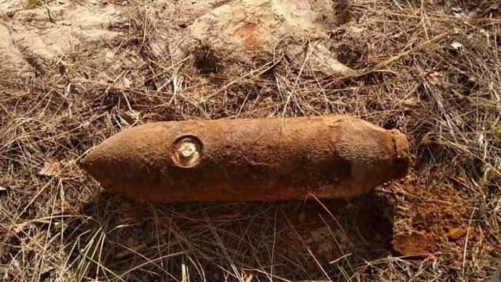 Под Брянском в лесу обнаружили бомбу и снаряд