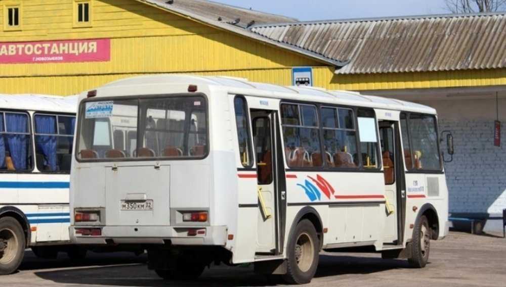 В Брянске полиция задержала пассажира автобуса с двумя пакетами конопли