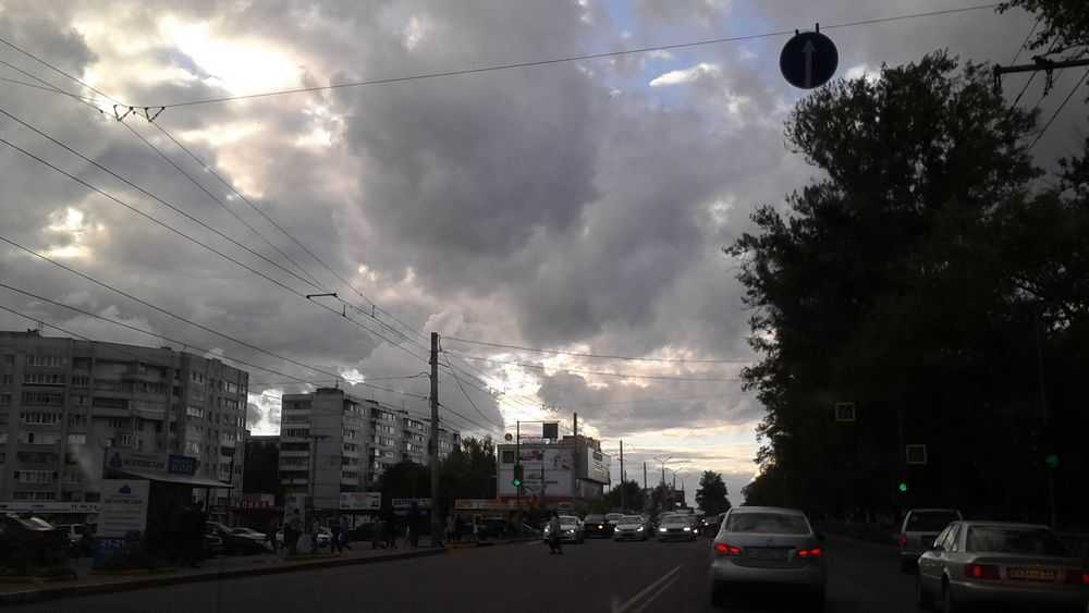 МЧС предупредило о грозах и сильном ветре в Брянской области 22 июля