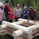 В Брянске начали обустраивать лесные родники