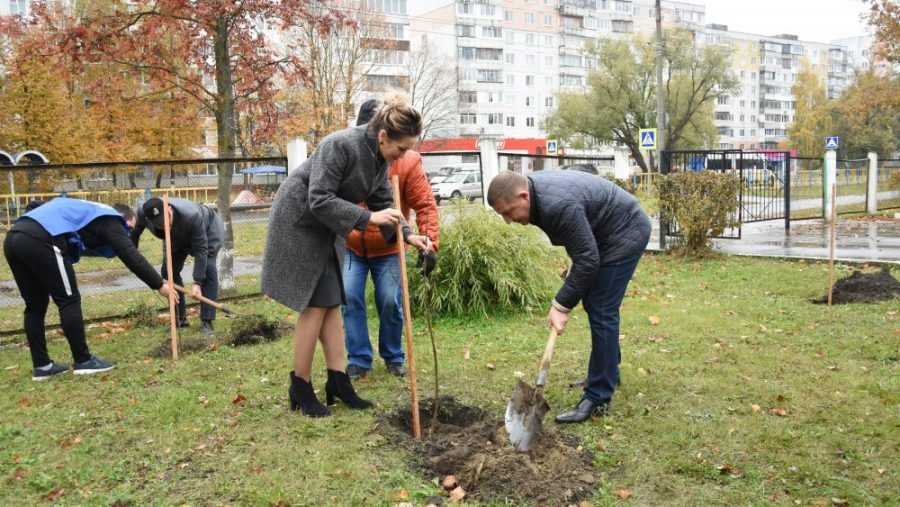 В Брянске в рамках акции «Классный лес» высадили 45 деревьев