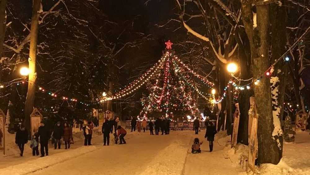 В Брянске объявили поиски главной новогодней елки