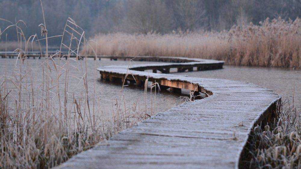 Синоптики предупредили о похолодании в Брянской области