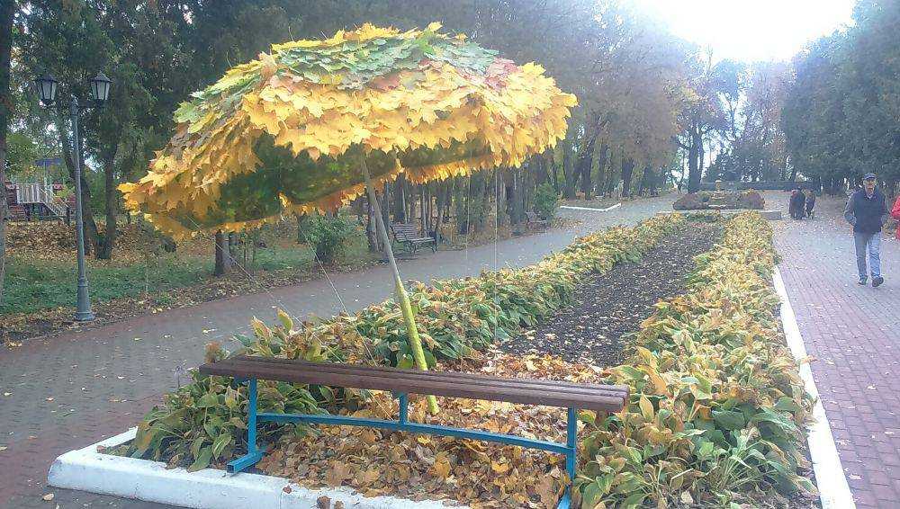 Жителей Трубчевска привел в восторг зонт из листьев