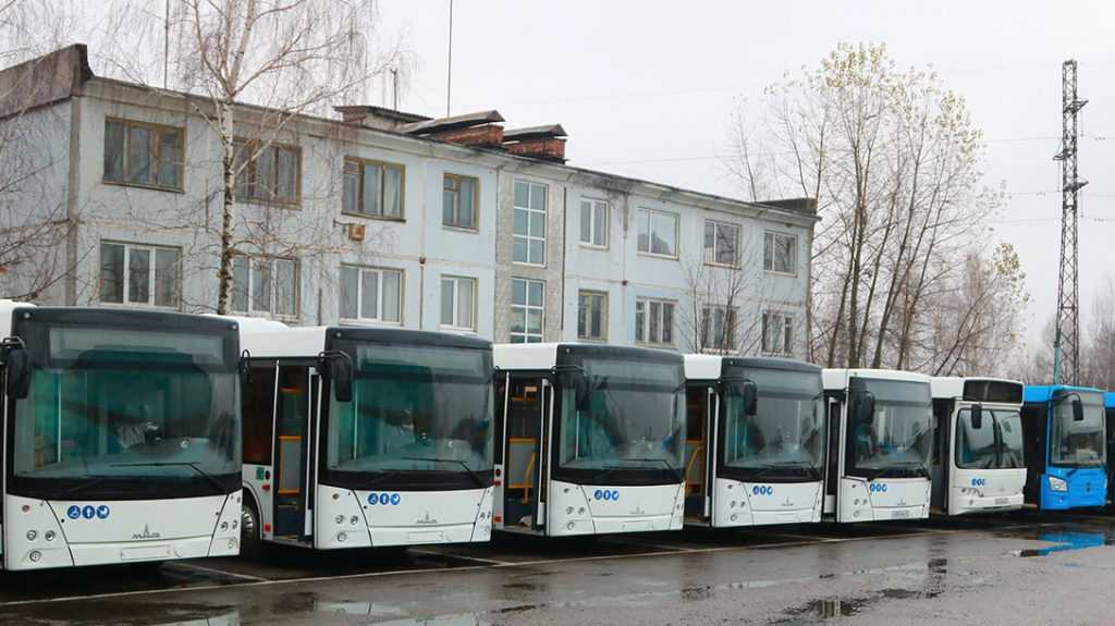 В Брянске автобусы №31 стали чаще ходить по выходным