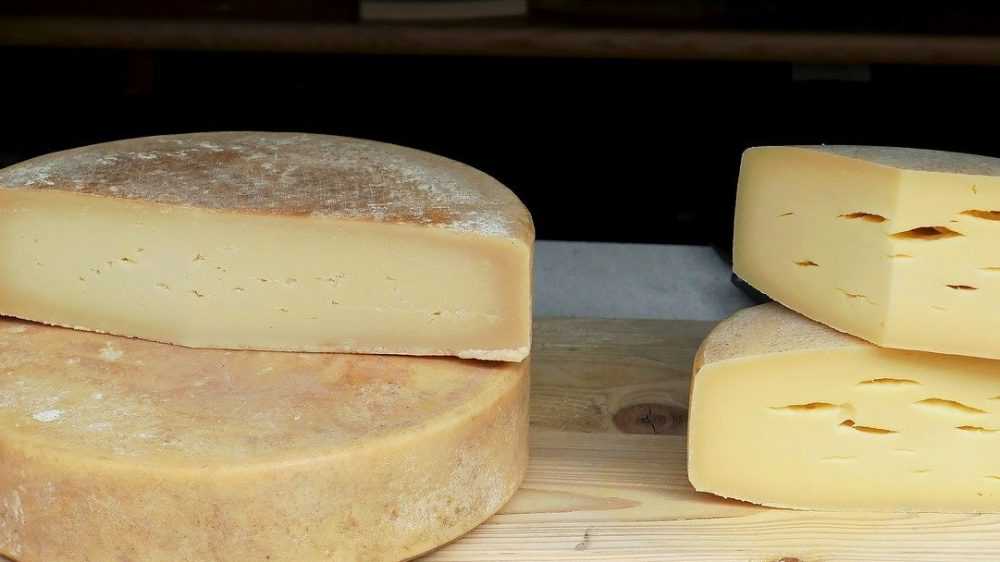 Производителей брянского сыра обвинили в фальсификации