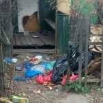 Пустующий дом на брянской улице соседи превратили в свалку для мусора