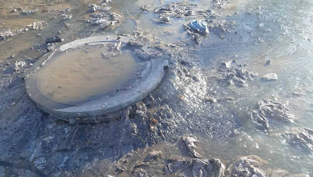 Коттеджный поселок на окраине Бежицы затопили нечистоты