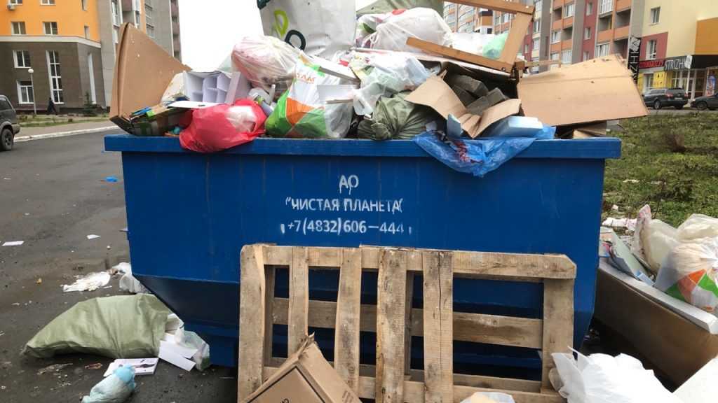 В Брянске устроили истерику из-за мусорного контейнера
