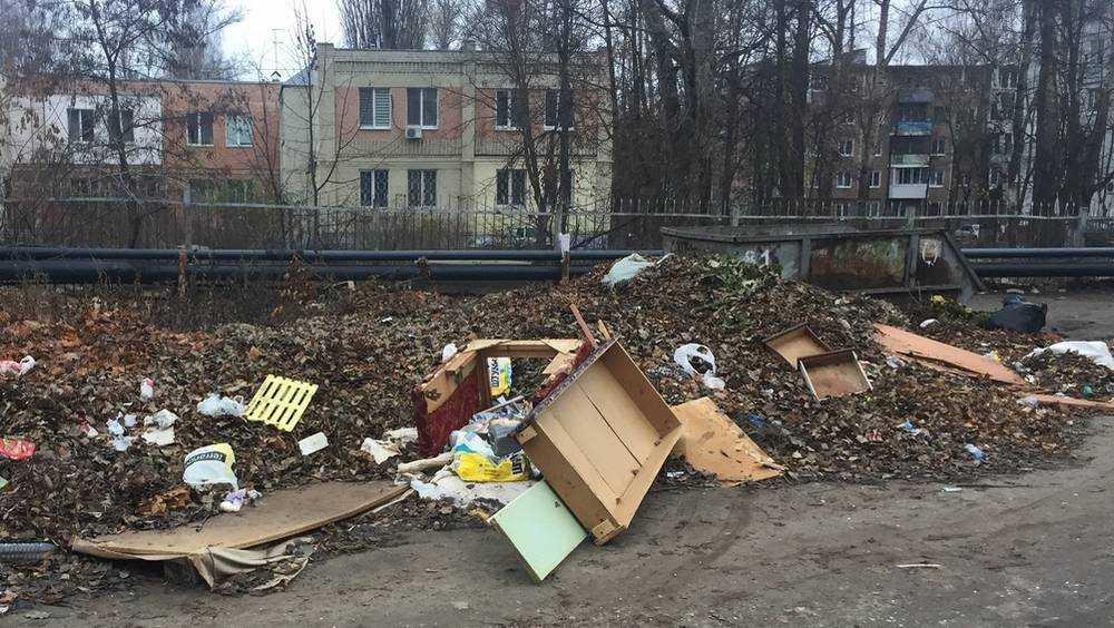 В Брянске возле детсада на Донбасской выросла большая свалка