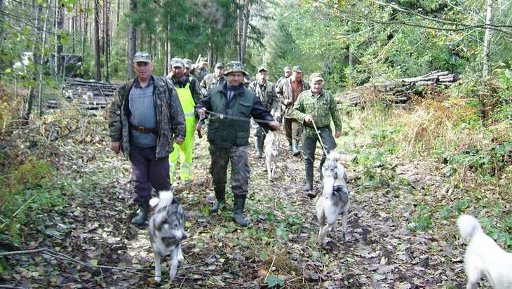 Брянские охотники получили возможность пострелять в Орловской области