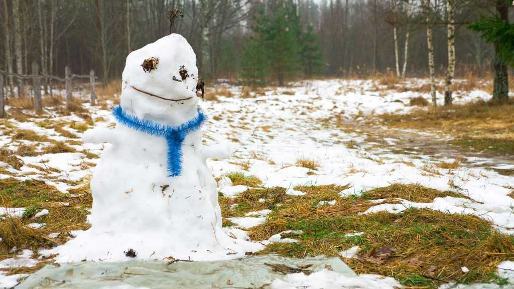 В Брянскую область 22 января придёт 2-градусное тепло