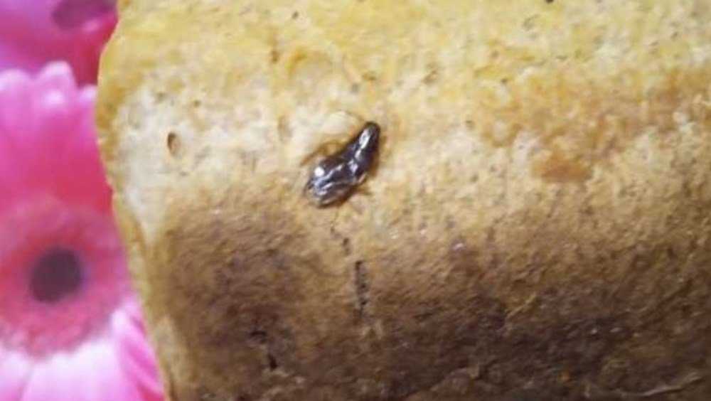 Житель Мглина купил в магазине хлеб с тараканом