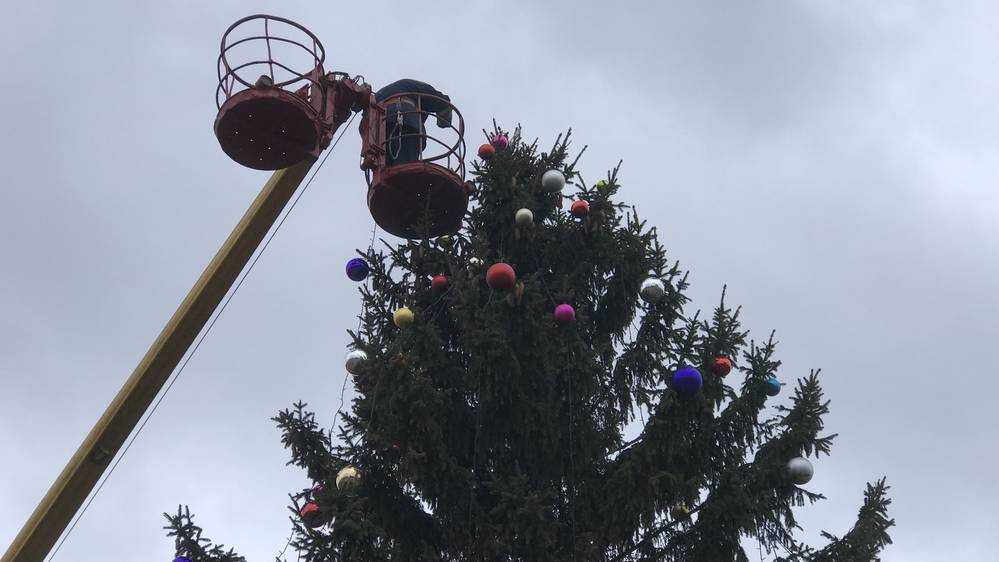 В Брянске начали искать главную новогоднюю елку
