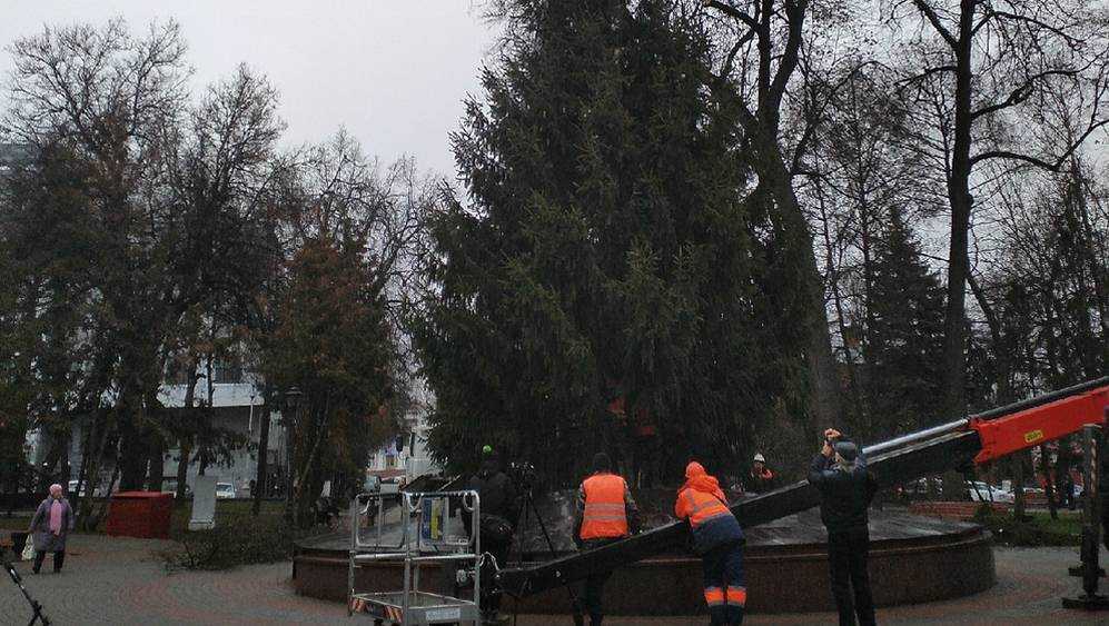 В Круглом сквере Брянска установили главную новогоднюю елку