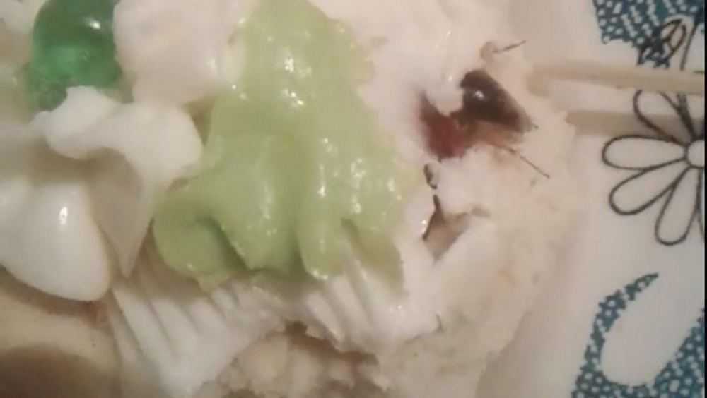 В Стародубе ребенок чуть не съел живого таракана внутри пирожного