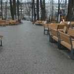 В парке Новозыбкова установили скамейку-кольцо и деревянные дорожки