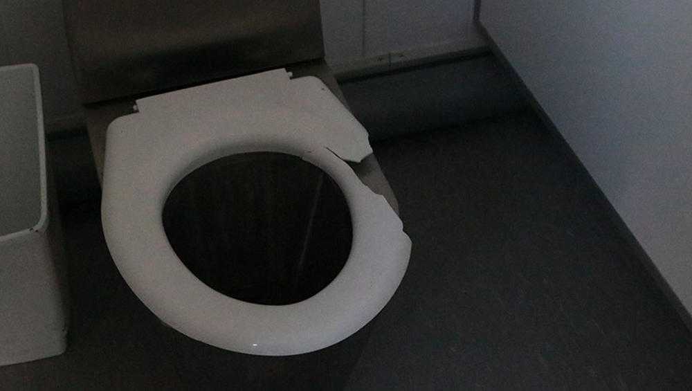 Брянская полиция нашла разгромивших туалет в Майском парке вандалов