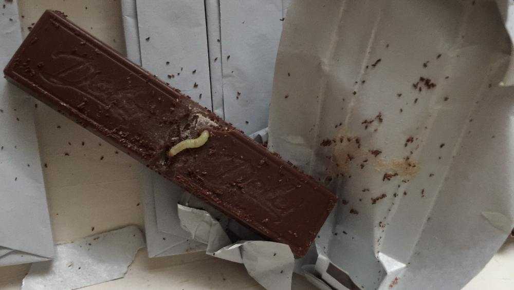 В брянском ларьке купили шоколад с червяком