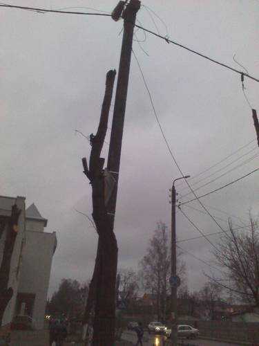В Брянске сбитый машиной бетонный столб привязали к дереву