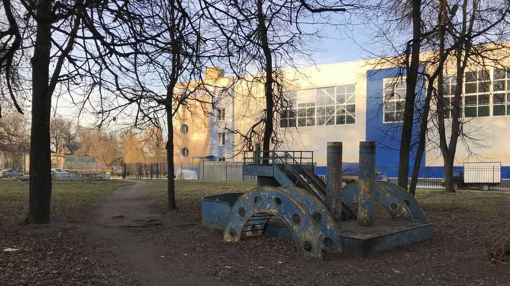 Жители Брянска попросили сохранить в парке Пушкина немного СССР