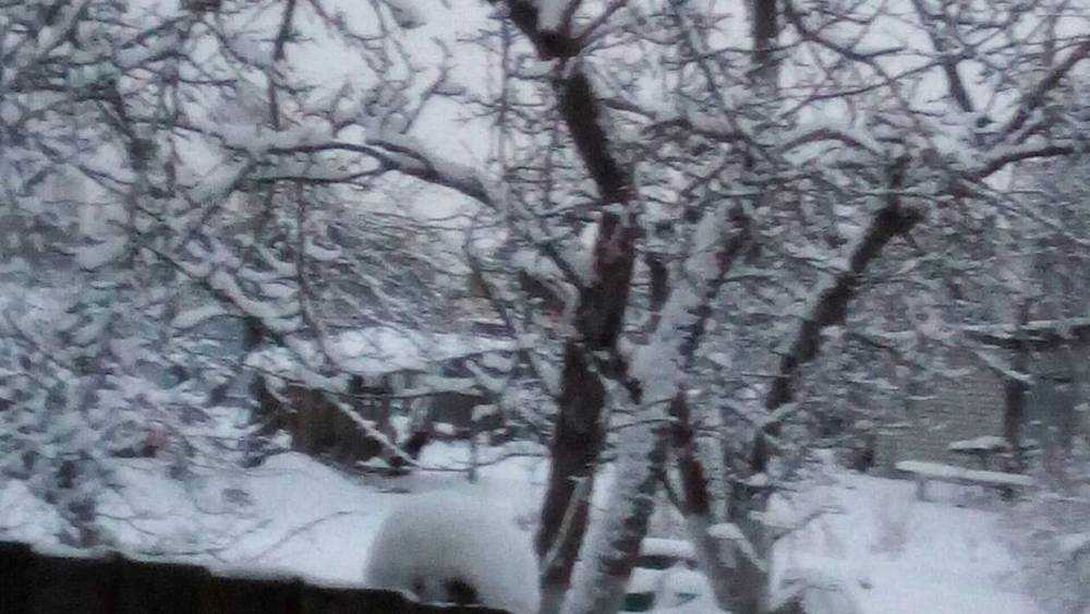 В юго-западных районах Брянской области выпал снег