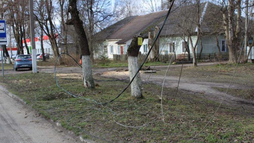 Прокуратура Дятькова заставила чиновников спилить опасные деревья