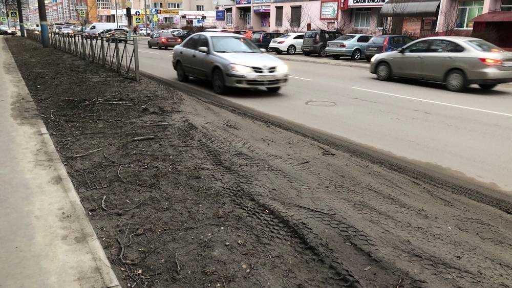 Жители Брянска попросили поставить вдоль дорог заборы