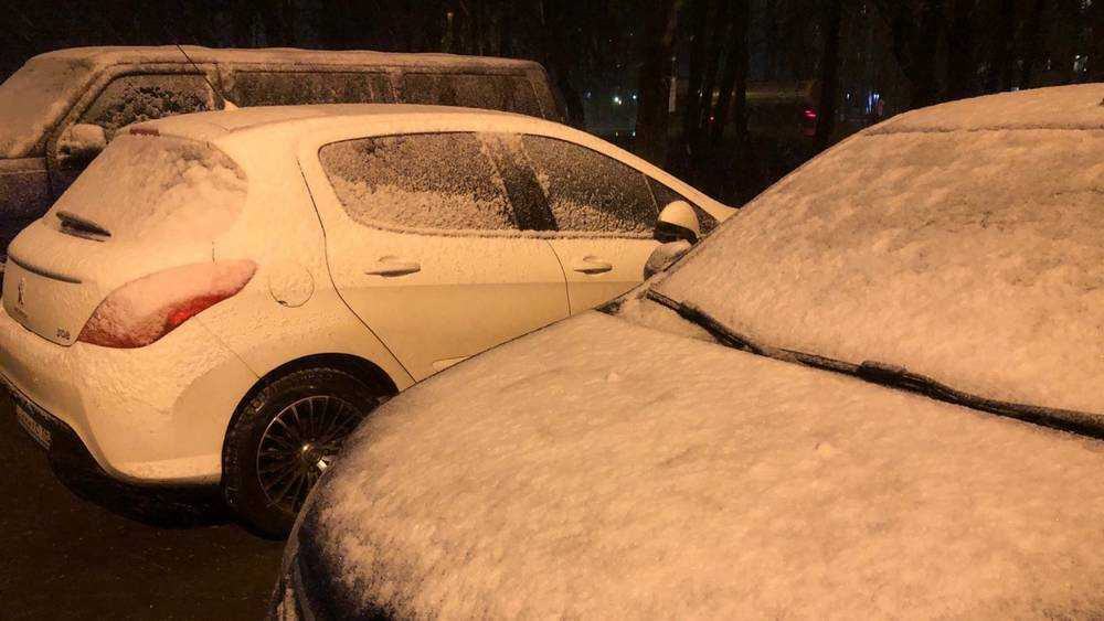 Брянск засыпало веселым весенним снегом
