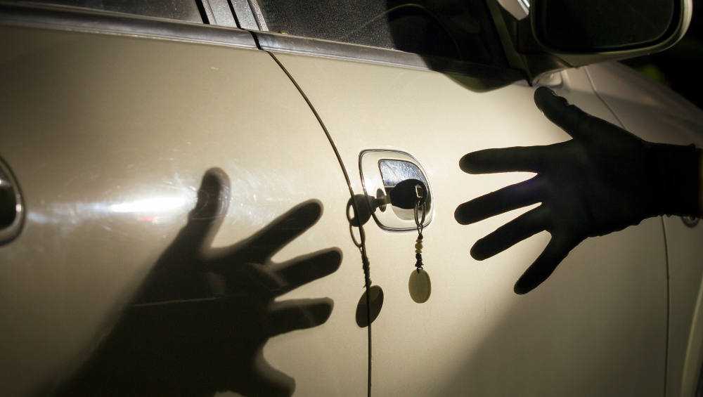 Брянская полиция поймала 24-летнего автомошенника и 18-летнего угонщика
