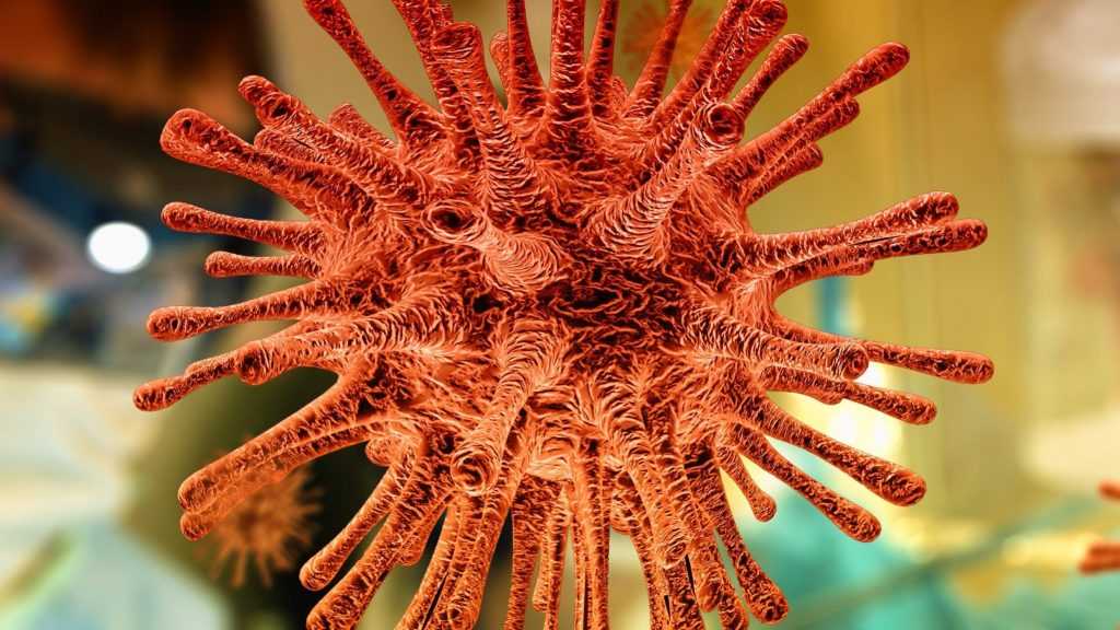 Ученые рассказали о коварстве нового коронавируса