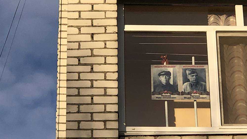 Портреты в окнах: брянцев призвали провести акцию «Бессмертный полк»