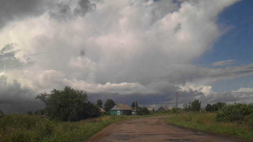 В Брянской области 25 апреля пройдут дожди с первыми грозами