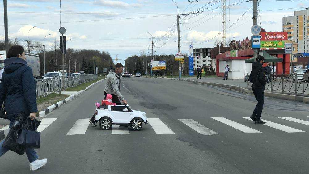 В Брянской области проведут эксперимент с пешеходами