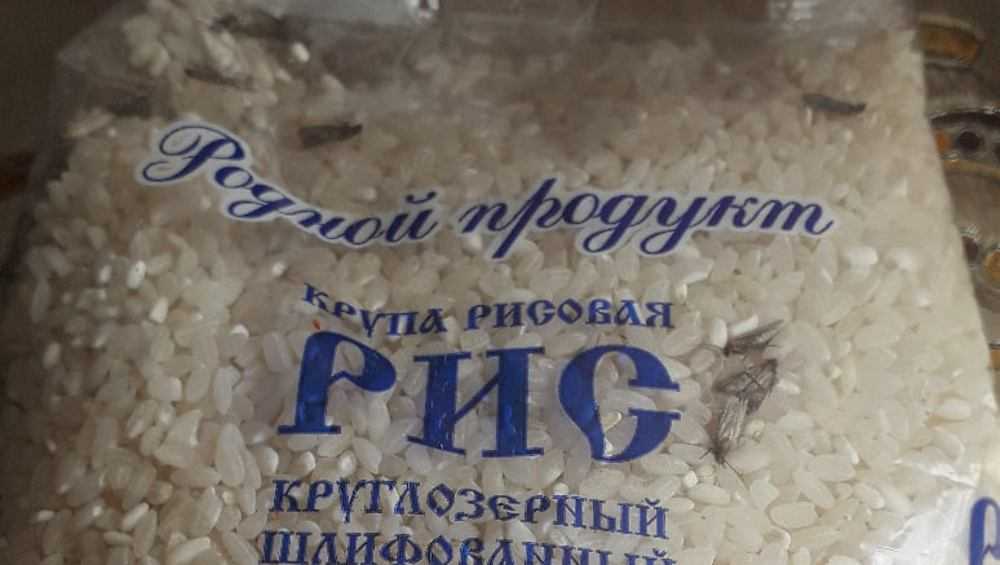 Брянский магазин предложил покупателям рис с молью