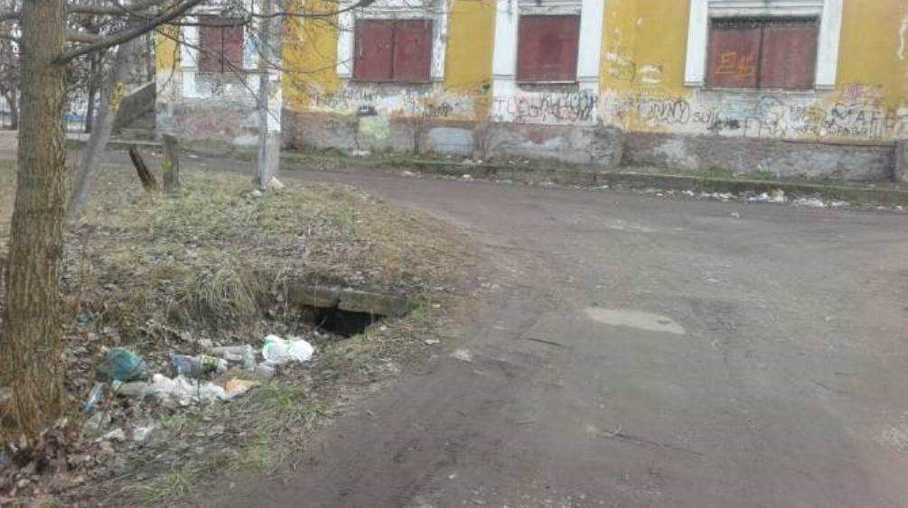 Жителей Брянска возмутила свалка на улице Шолохова
