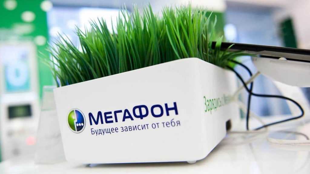 МегаФон позаботился о пожарной безопасности в российских лесах
