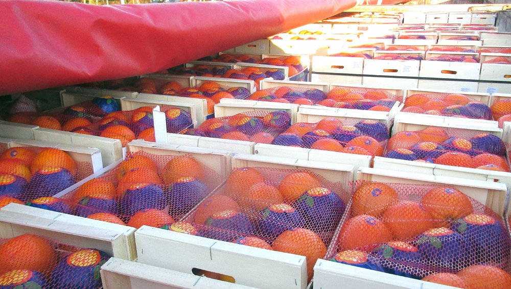 Брянские таможенники реквизировали более 20 тонн испанских апельсинов