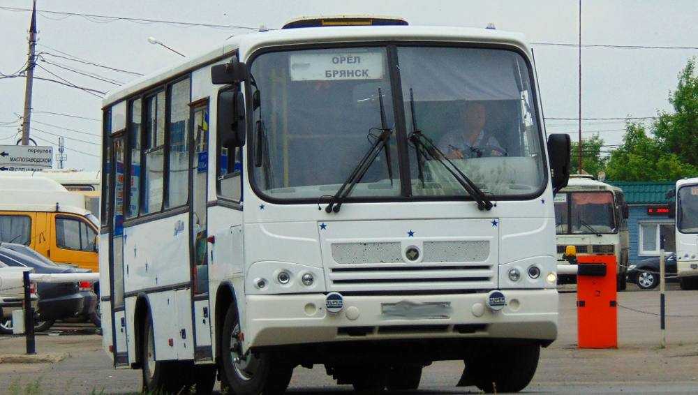 В Брянской области сотрудники ГИБДД проверят водителей автобусов
