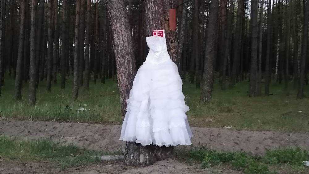Брянцев обескуражило свадебное платье на дереве в лесу