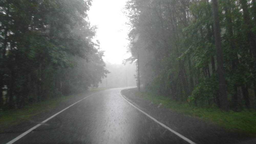 В Брянской области водителей предупредили о грозе и граде 16 июля