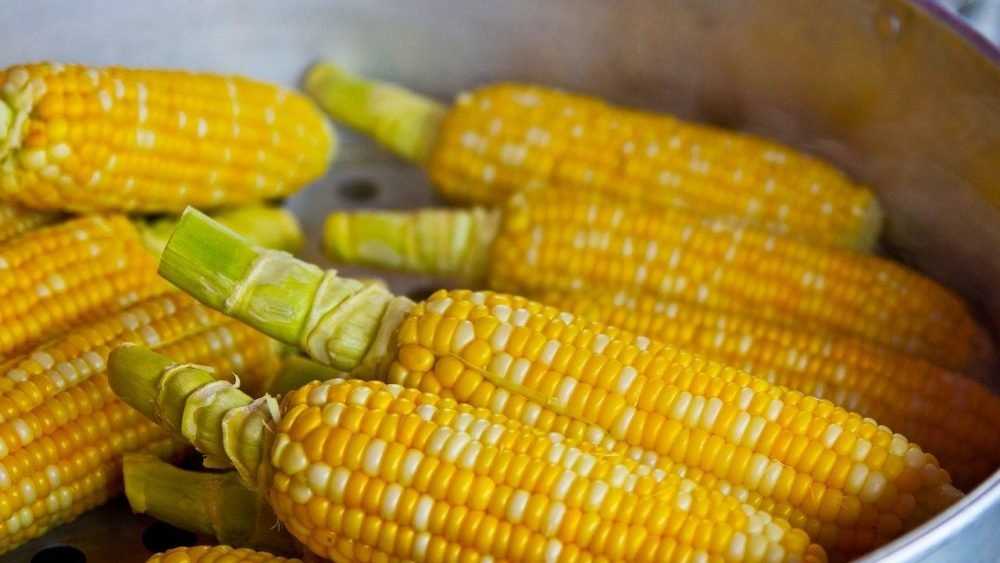 В Палужье начали рискованную торговлю кукурузой 